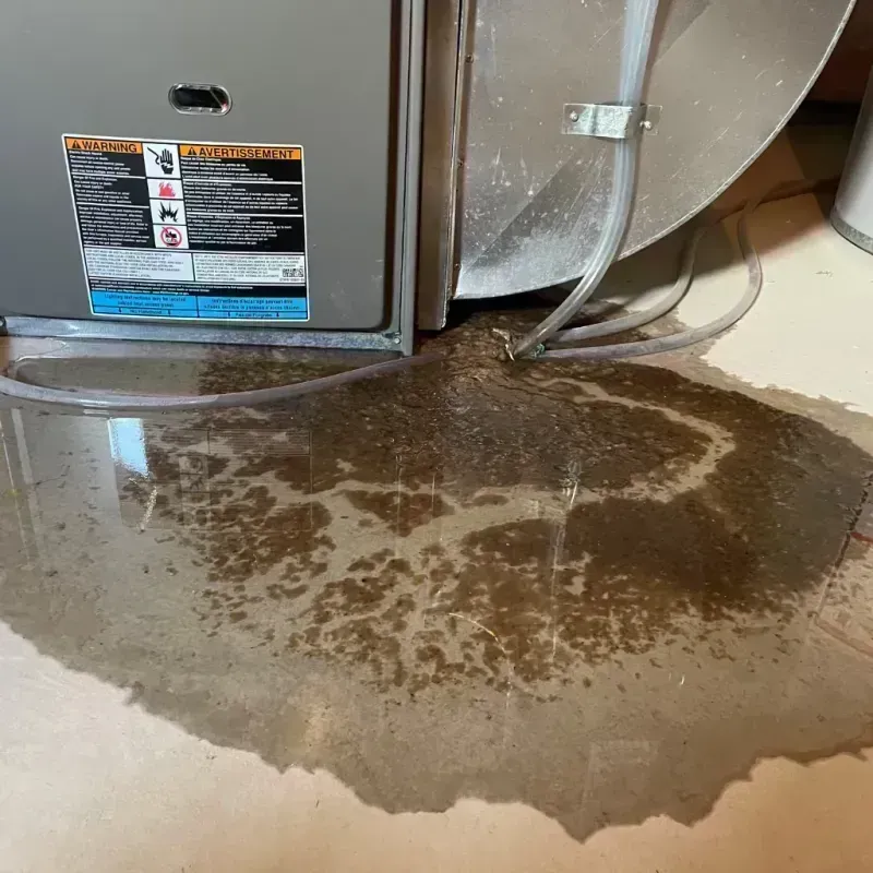 Appliance Leak Cleanup in Danvers, IL